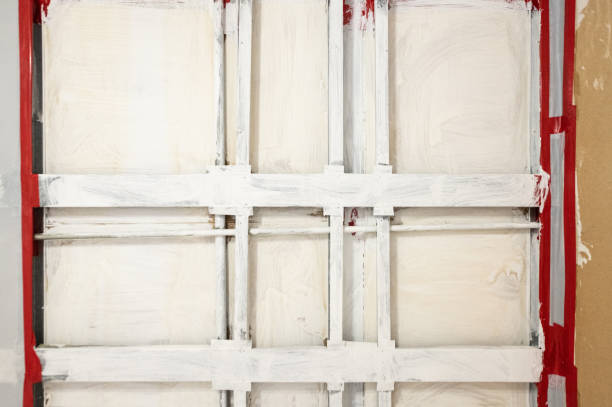 Best Basement Mold Removal  in Randleman, NC