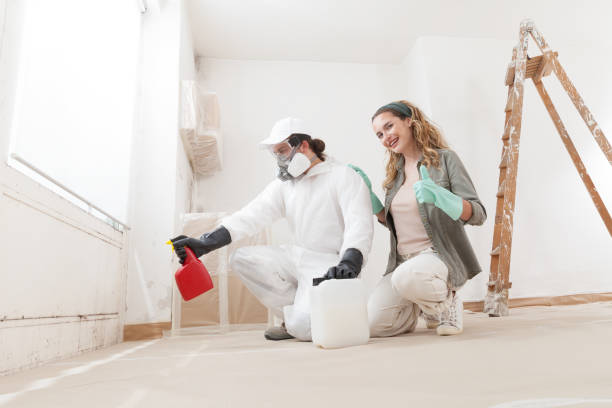 Best Post-Remediation Verification Testing  in Randleman, NC